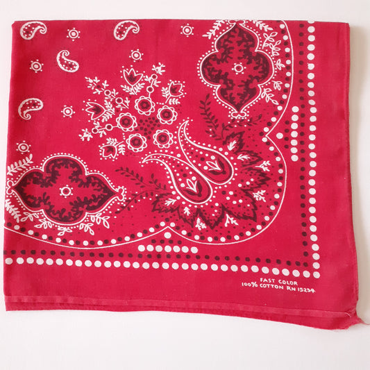 Vintage 50s/60s Fast Color Bandana